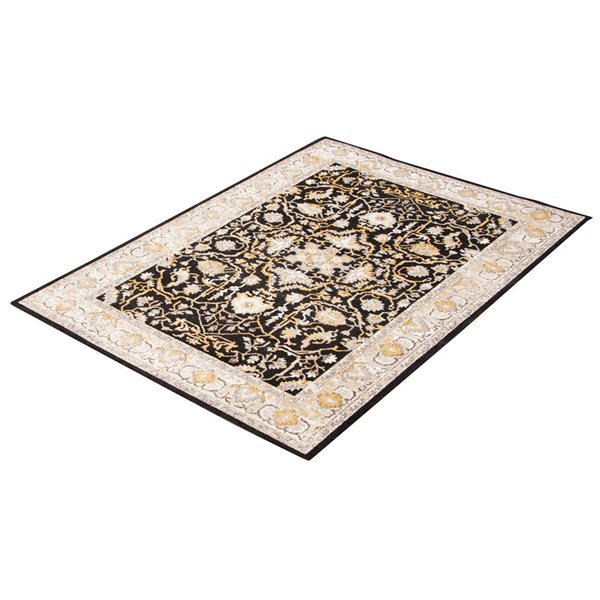 ECARPET Aqua Legacy 8-ft x 10-ft Black Rectangular Area rug