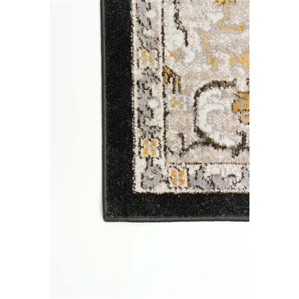 ECARPET Aqua Legacy 8-ft x 10-ft Black Rectangular Area rug