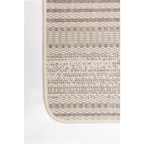 ECARPET Cabana 2-ft x 4-ft Ivory Rectangular Area rug