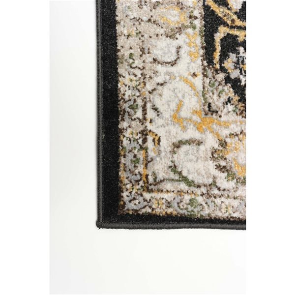 ECARPET Aqua Legacy 2.5-ft x 8-ft Black Rectangular Runner