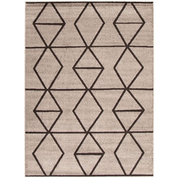 ECARPET Ana 5.25-ft x 7.25-ft Grey and Brown Rectangular Area rug