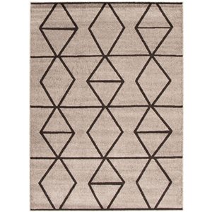 ECARPET Ana 5.25-ft x 7.25-ft Grey and Brown Rectangular Area rug