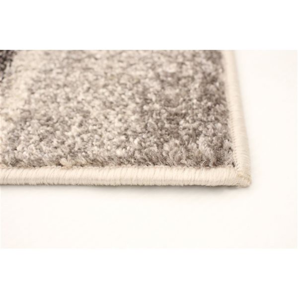 ECARPET Ayla 4-ft x 5.5-ft Ivory and Taupe Rectangular Area rug