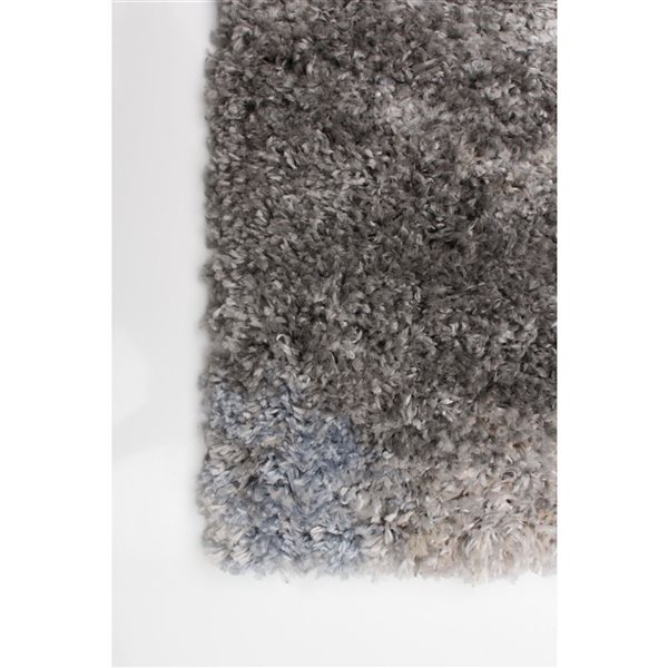 ECARPET Minka Cream 5-ft 3-in x 7-ft 3-in Rectangular Indoor Shag Carpet