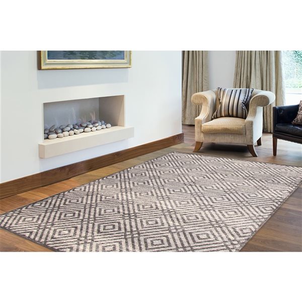 ECARPET Ember Anthracite 7-ft 10-in x 10-ft 2-in Rectangular Indoor Area rug