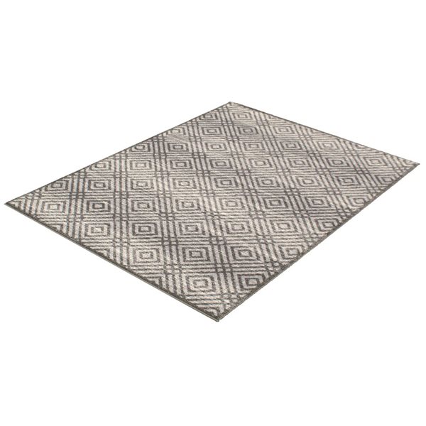 ECARPET Ember Anthracite 7-ft 10-in x 10-ft 2-in Rectangular Indoor Area rug