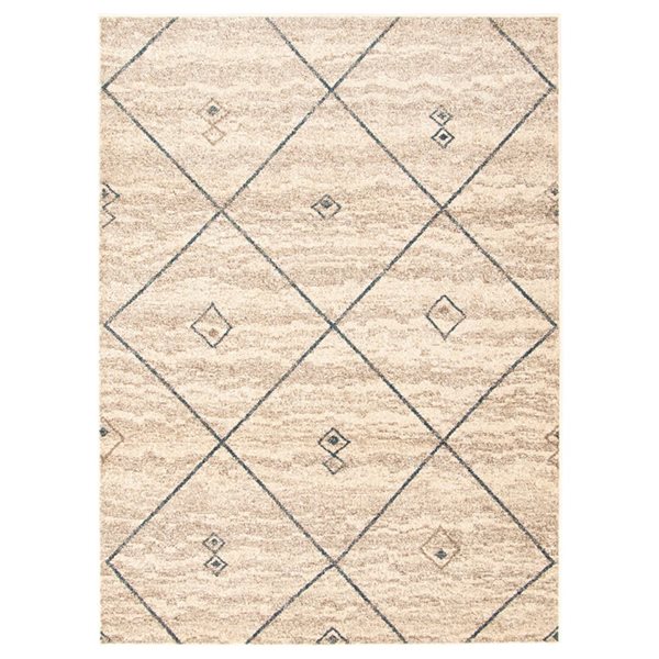 ECARPET Devos Ivory/Blue 3-ft 11-in x 5-ft 7-in Rectangular Indoor Area rug