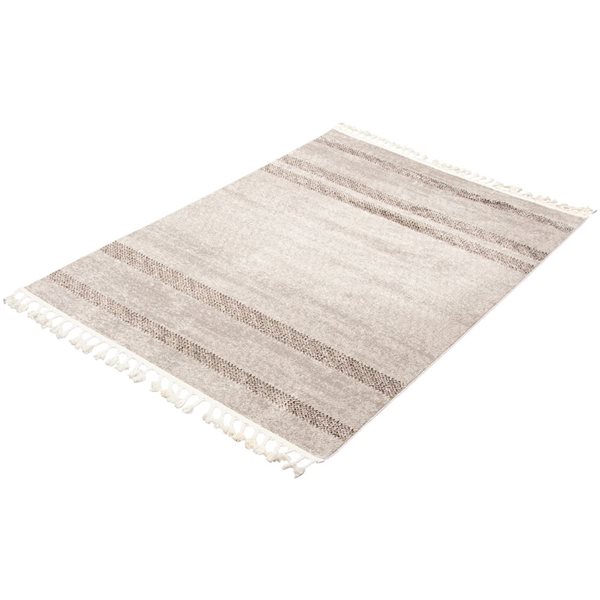 ECARPET Kybella Coastal Ivory/Grey 5-ft 2-in x 7-ft 5-in Rectangular Indoor Area rug