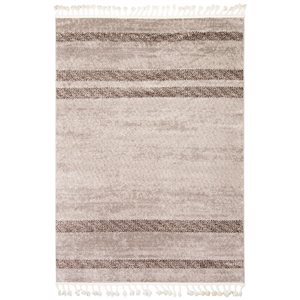 ECARPET Kybella Coastal Ivory/Grey 5-ft 2-in x 7-ft 5-in Rectangular Indoor Area rug