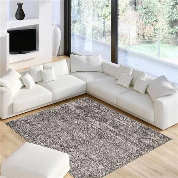 ECARPET Isla Grey 3-ft 11-in x 5-ft 11-in Rectangular Indoor Area rug