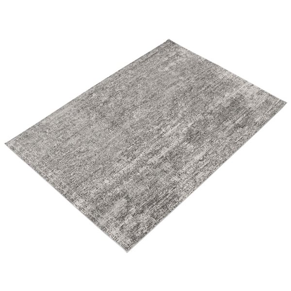 ECARPET Isla Grey 3-ft 11-in x 5-ft 11-in Rectangular Indoor Area rug