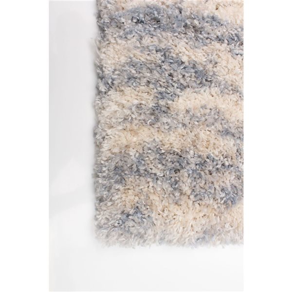 ECARPET Larissa Cream/Light Blue 3-ft 11-in x 5-ft 7-in Rectangular Indoor Shag Carpet