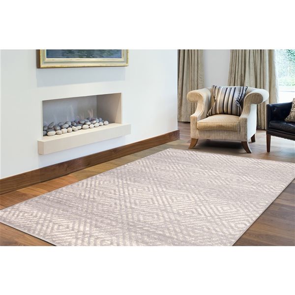 ECARPET Ember Silver 3-ft 11-in x 5-ft 7-in Rectangular Indoor Area rug