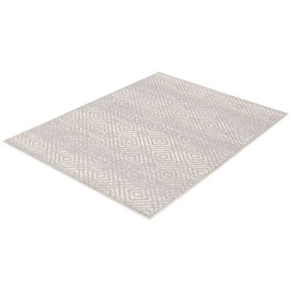 ECARPET Ember Silver 3-ft 11-in x 5-ft 7-in Rectangular Indoor Area rug