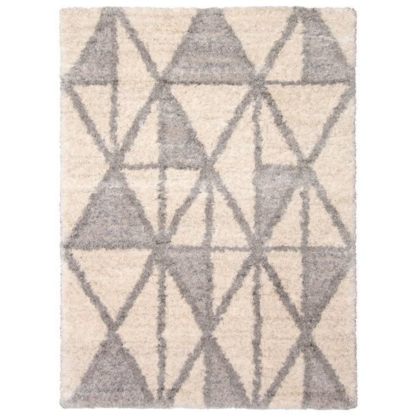 ECARPET Lova Ivory 5-ft 3-in x 7-ft 3-in Rectangular Indoor Shag Carpet