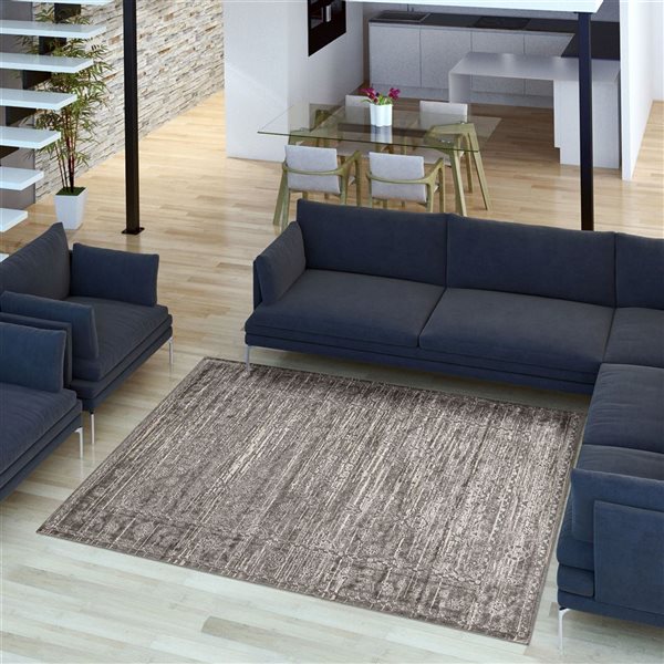 Tapis d'intérieur Layla 3pi 11po x 5pi 11po rectangulaire gris par ECARPET