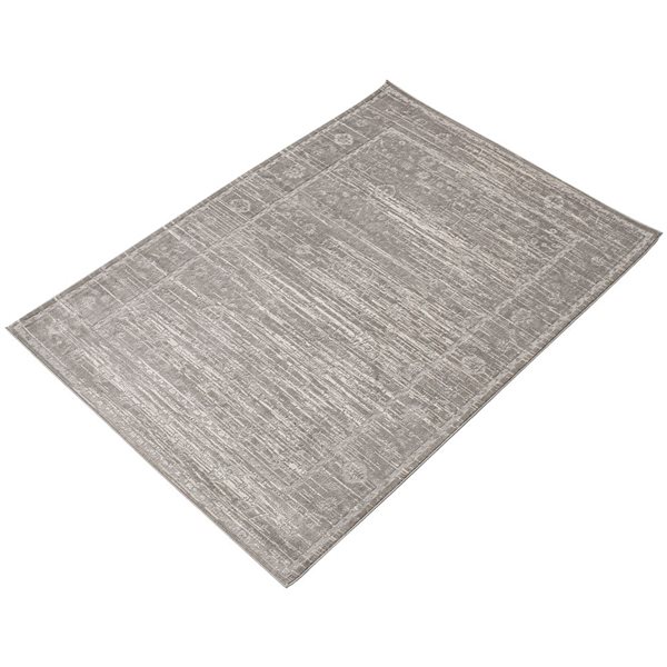 Tapis d'intérieur Layla 3pi 11po x 5pi 11po rectangulaire gris par ECARPET