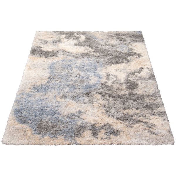 Tapis à poil long d'intérieur Minka 3pi 11po x 5pi 7po rectangulaire crème par ECARPET