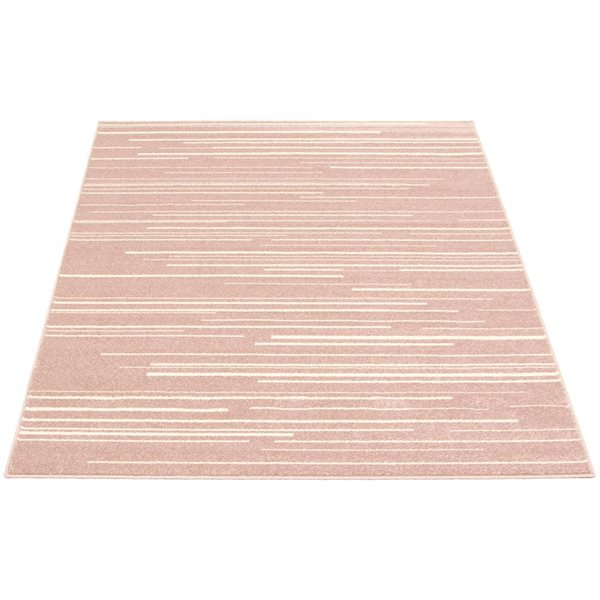 Tapis d'intérieur Fika 7pi 10po x 10pi 2po rectangulaire rose/crème par ECARPET