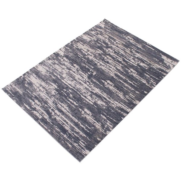 Tapis d'intérieur Ezra 6pi 7po x 9pi 6po rectangulaire gris par ECARPET