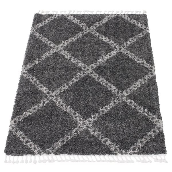 Tapis à poil long d'intérieur Grammercy Stark 6pi 7po x 9pi 6po rectangulaire gris foncé par ECARPET