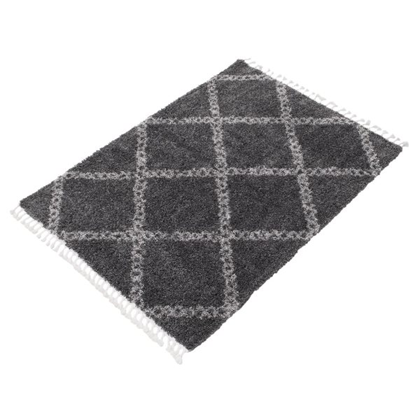 Tapis à poil long d'intérieur Grammercy Stark 6pi 7po x 9pi 6po rectangulaire gris foncé par ECARPET