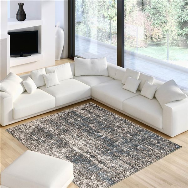 ECARPET Isla Grey/Blue 3-ft 11-in x 5-ft 11-in Rectangular Indoor Area rug