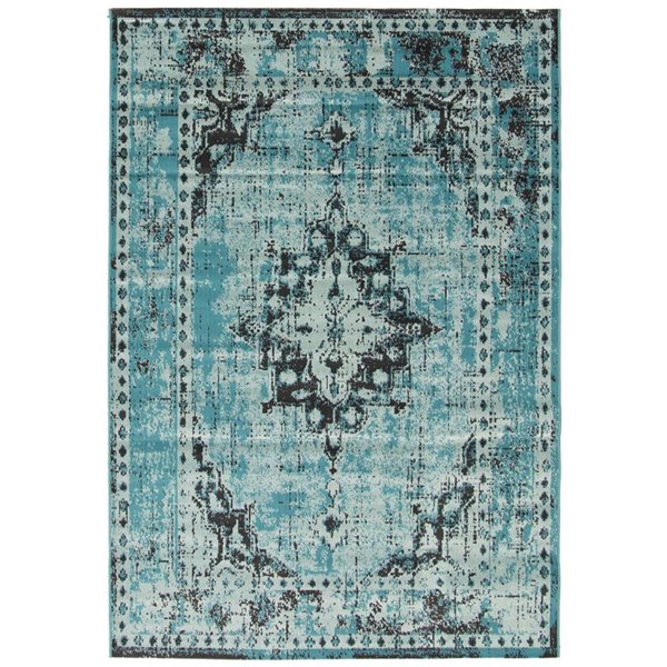 ECARPET Isabella Aqua 5-ft 3-in x 7-ft 7-in Rectangular Indoor Area rug