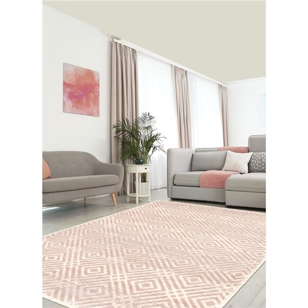 Tapis d'intérieur Ember 7pi 10po x 10pi 2po rectangulaire argent/rose par ECARPET