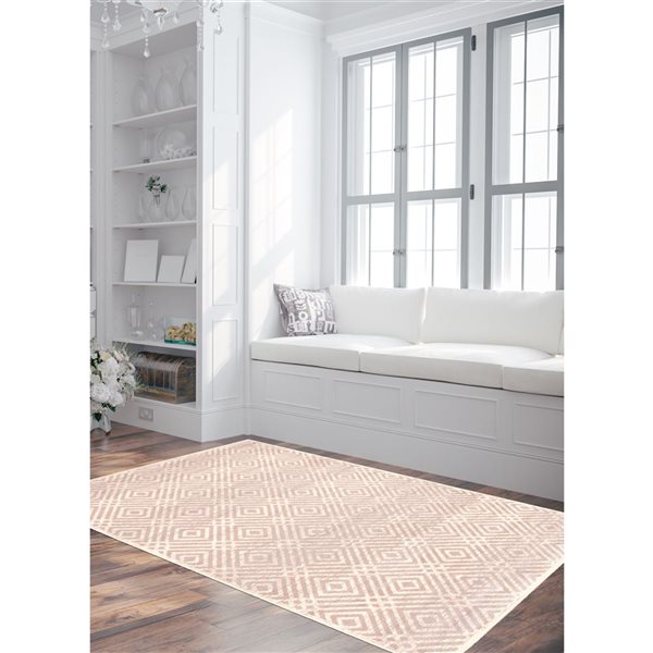 Tapis d'intérieur Ember 3pi 11po x 5pi 7po rectangulaire argent/rose par ECARPET