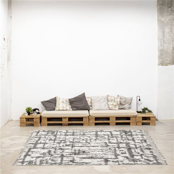 Tapis à poil long d'intérieur Grammercy Urban 3pi 11po x 5pi 11po rectangulaire crème/gris par ECARPET