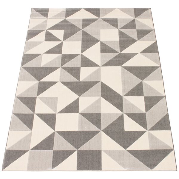 Tapis d'intérieur Delta 3pi 11po x 5pi 7po rectangulaire gris par ECARPET