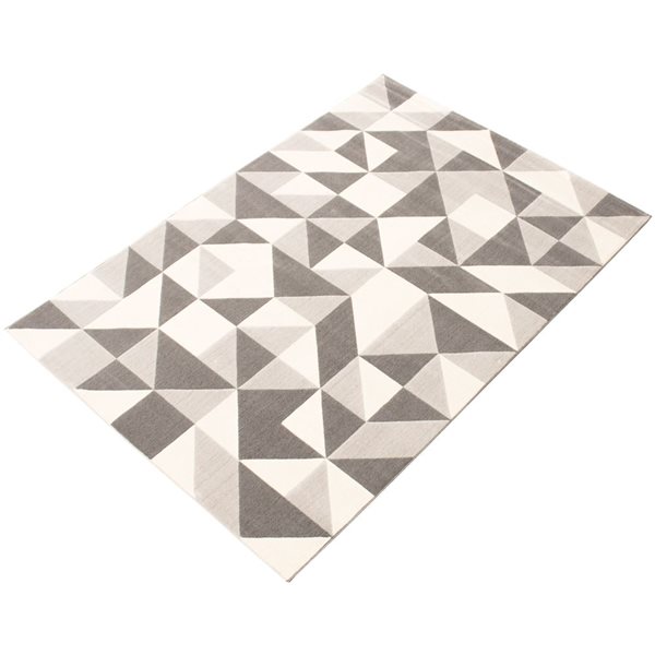 Tapis d'intérieur Delta 3pi 11po x 5pi 7po rectangulaire gris par ECARPET