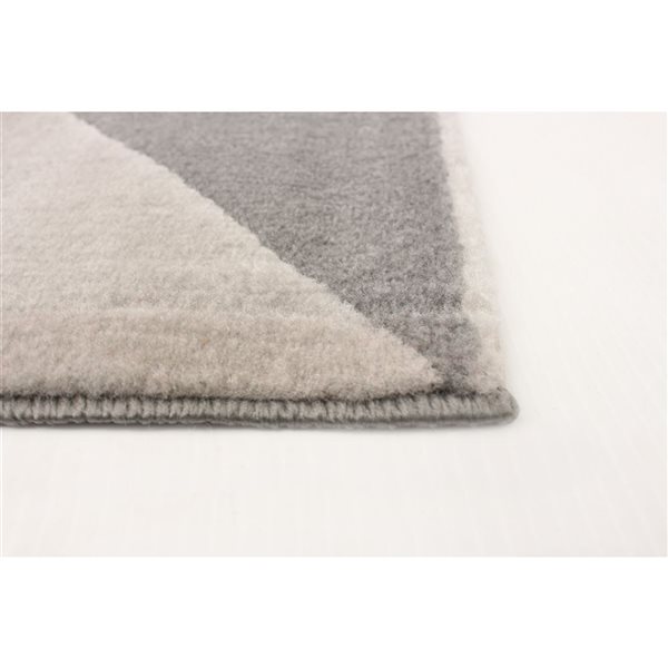 Tapis d'intérieur Delta 3pi 11po x 5pi 7po rectangulaire gris par ECARPET