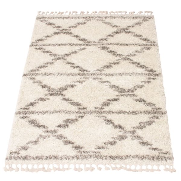 Tapis à poil long d'intérieur Grammercy Liv 3pi 11po x 5pi 11po rectangulaire crème par ECARPET