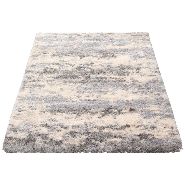 Tapis à poil long d'intérieur Larissa 3pi 11po x 5pi 7po rectangulaire crème/gris par ECARPET