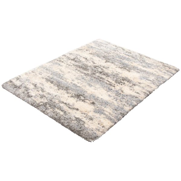 Tapis à poil long d'intérieur Larissa 3pi 11po x 5pi 7po rectangulaire crème/gris par ECARPET