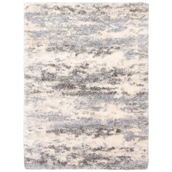 Tapis à poil long d'intérieur Larissa 3pi 11po x 5pi 7po rectangulaire crème/gris par ECARPET