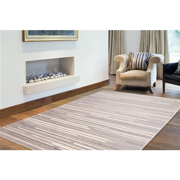 Tapis d'intérieur Fika 5pi 3po x 7pi 3po rectangulaire argent/crème par ECARPET