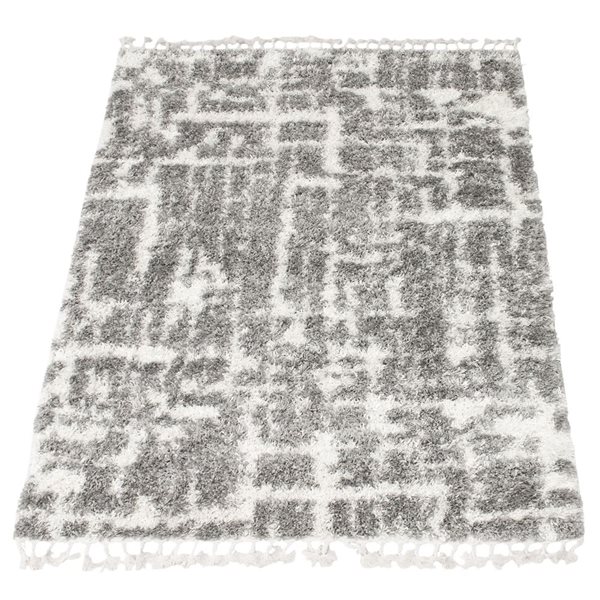 Tapis à poil long d'intérieur Grammercy Urban 5pi 3po x 7pi 3po rectangulaire gris/crème par ECARPET