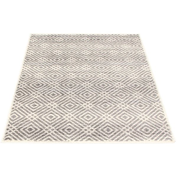 ECARPET Ember Cream 3-ft 11-in x 5-ft 7-in Rectangular Indoor Area rug