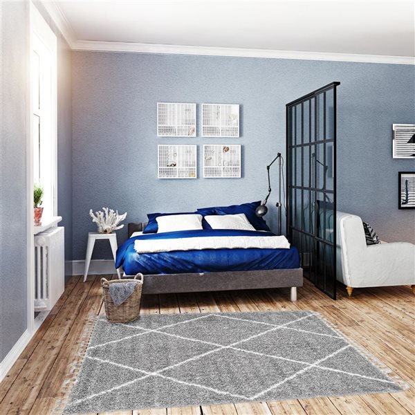 Tapis à poil long d'intérieur Grammercy 5pi 3po x 7pi 3po rectangulaire gris pâle par ECARPET