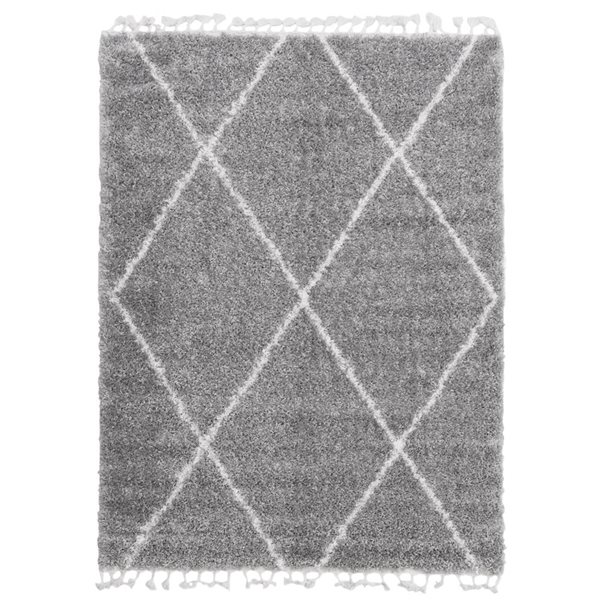 Tapis à poil long d'intérieur Grammercy 5pi 3po x 7pi 3po rectangulaire gris pâle par ECARPET