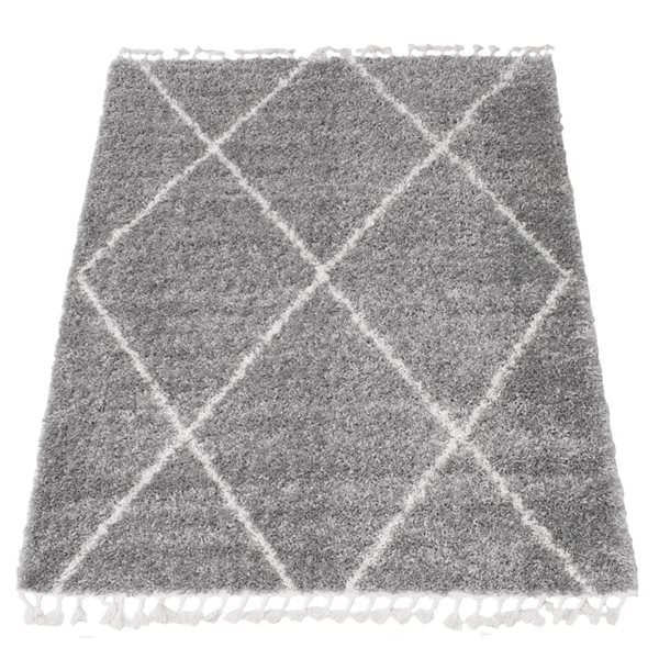 ECARPET Grammercy Losange Light Grey 3-ft 11-in x 5-ft 11-in Rectangular Indoor Shag Carpet