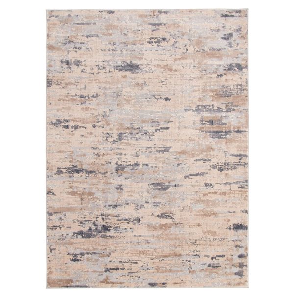 Tapis d'intérieur Devin 6pi 7po x 9pi 6po rectangulaire gris par ECARPET