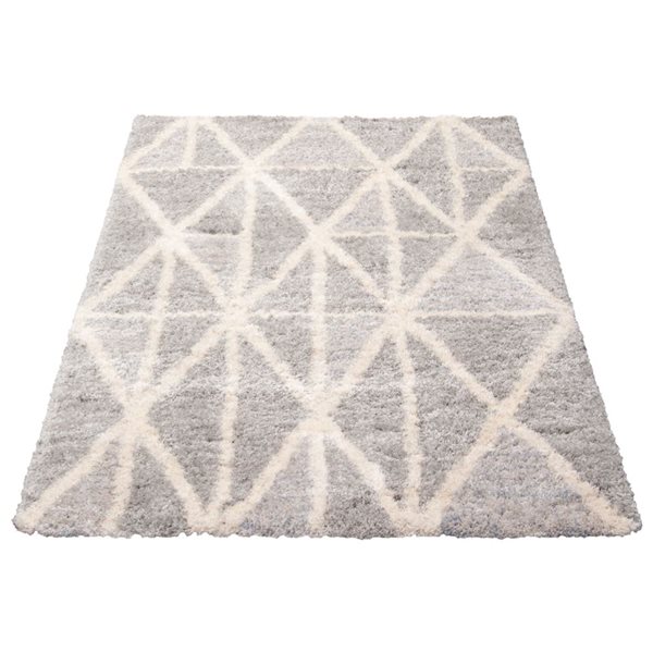 ECARPET Lova Grey 6-ft 7-in x 9-ft 6-in Rectangular Indoor Shag Carpet