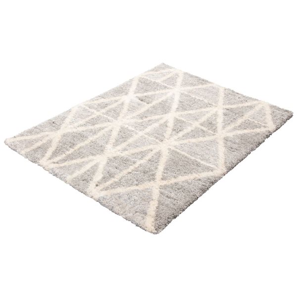 ECARPET Lova Grey 6-ft 7-in x 9-ft 6-in Rectangular Indoor Shag Carpet