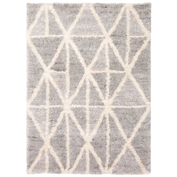 ECARPET Lova Grey 6-ft 7-in x 9-ft 6-in Rectangular Indoor Shag Carpet