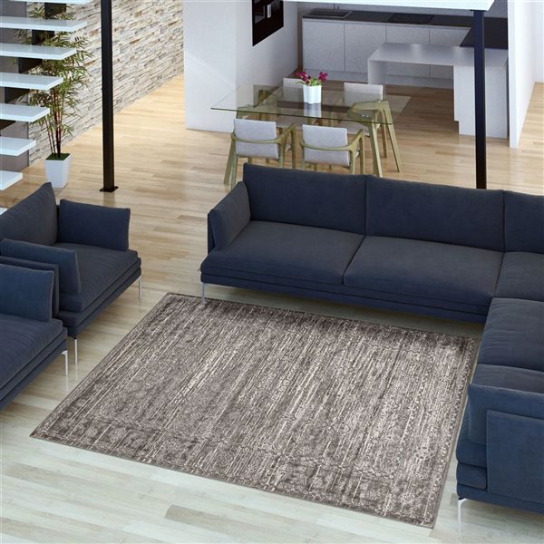 Tapis d'intérieur Layla 6pi 7po x 9pi 6po rectangulaire gris par ECARPET