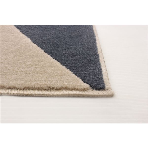 Tapis d'intérieur Delta 5pi 3po x 7pi 7po rectangulaire bleu par ECARPET